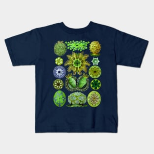 Ernst Haeckel Ascidiae Sea Squirts Green Kids T-Shirt